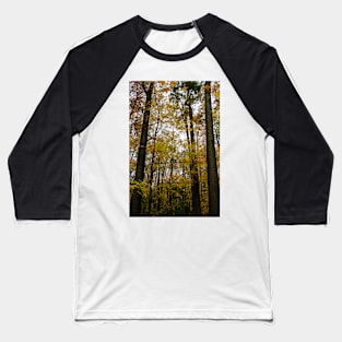 Bruce Trail Burlington, autumn colors Baseball T-Shirt